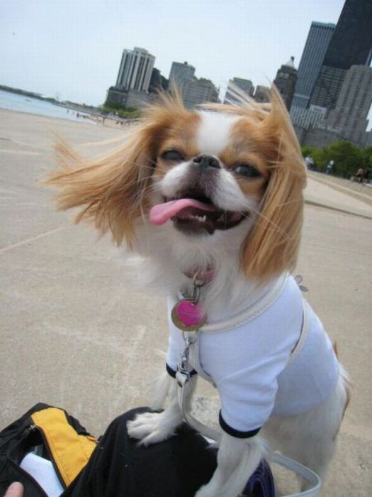 Acid Picdump (87 pics)