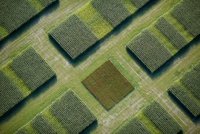 Amazing Aerial Photos (46 pics)