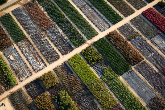 Amazing Aerial Photos (46 pics)