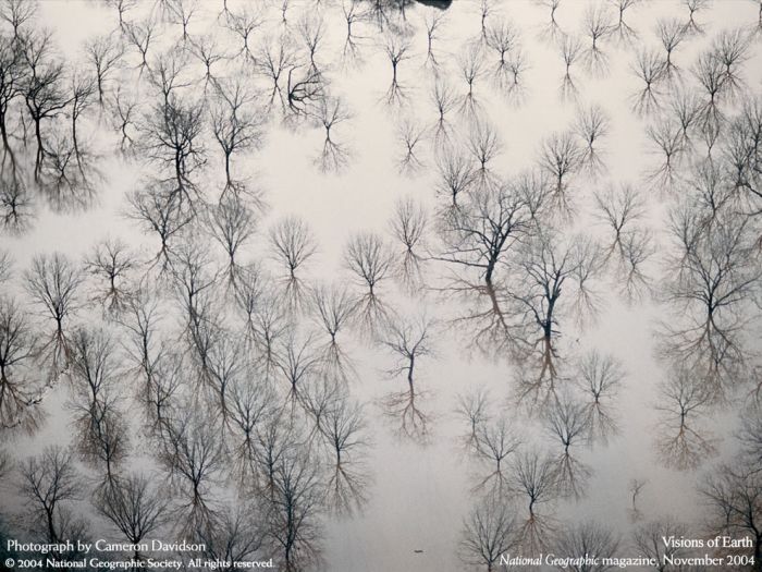 Amazing Aerial Photos (46 pics)
