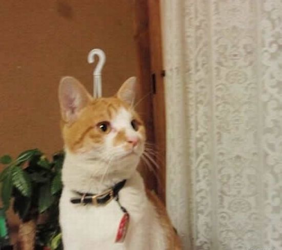 Acid Picdump (96 pics)