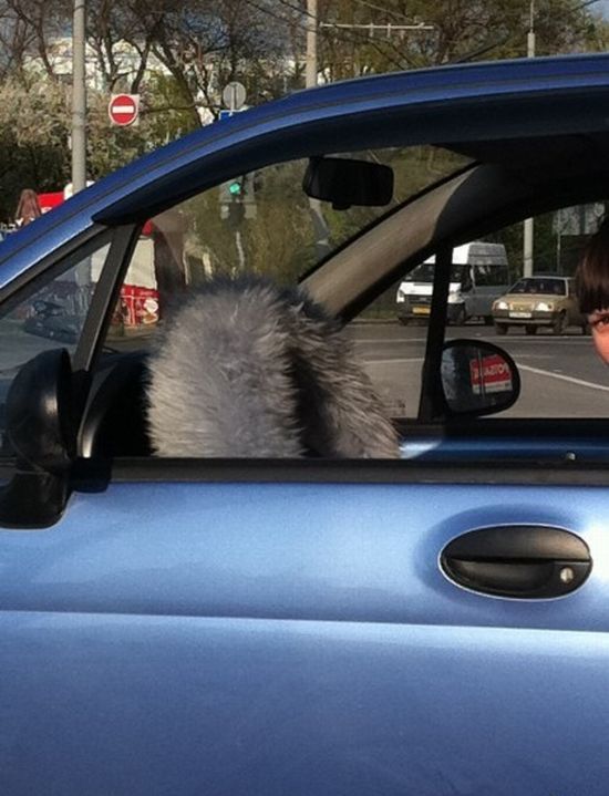 Acid Picdump (96 pics)