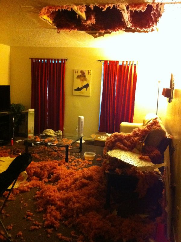 Acid Picdump (96 pics)