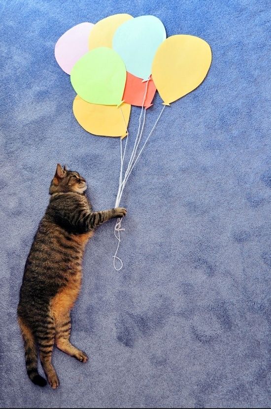 Acid Picdump (96 pics)