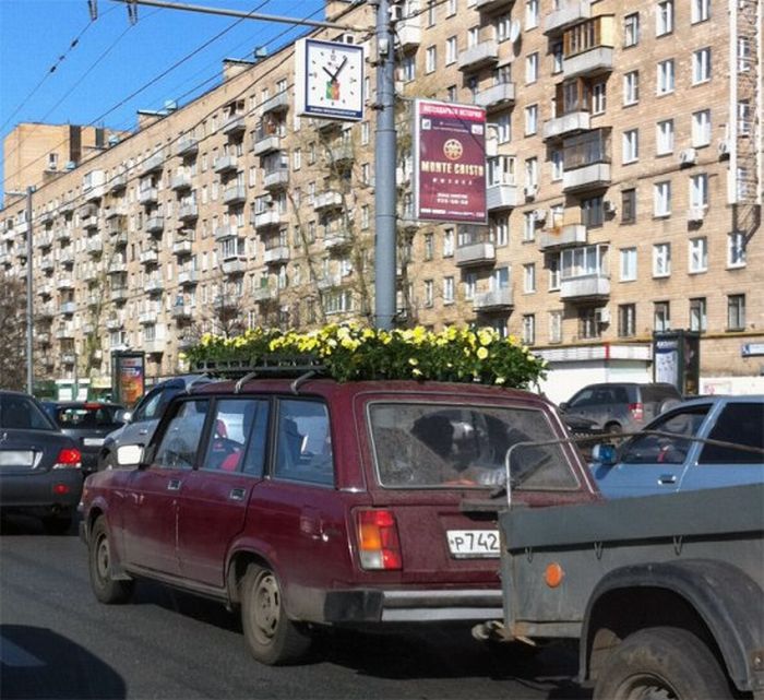 Acid Picdump (96 pics)
