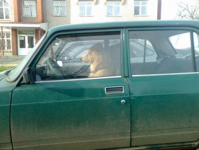 Acid Picdump (96 pics)