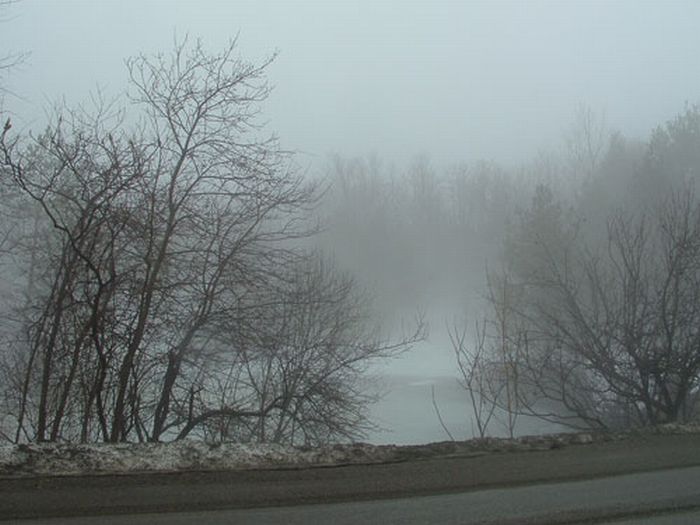 Fog (39 pics)