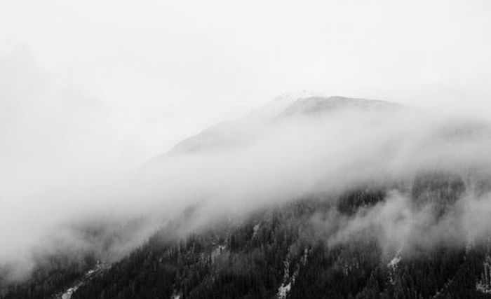 Fog (39 pics)