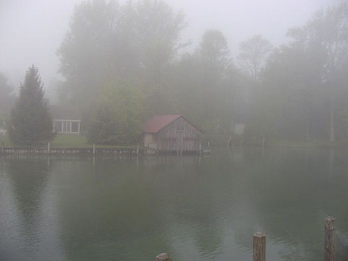 Fog (39 pics)