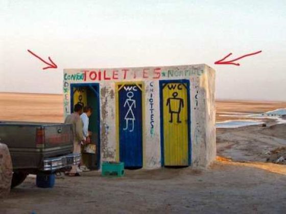 The Strangest Toilets Ever (57 pics)