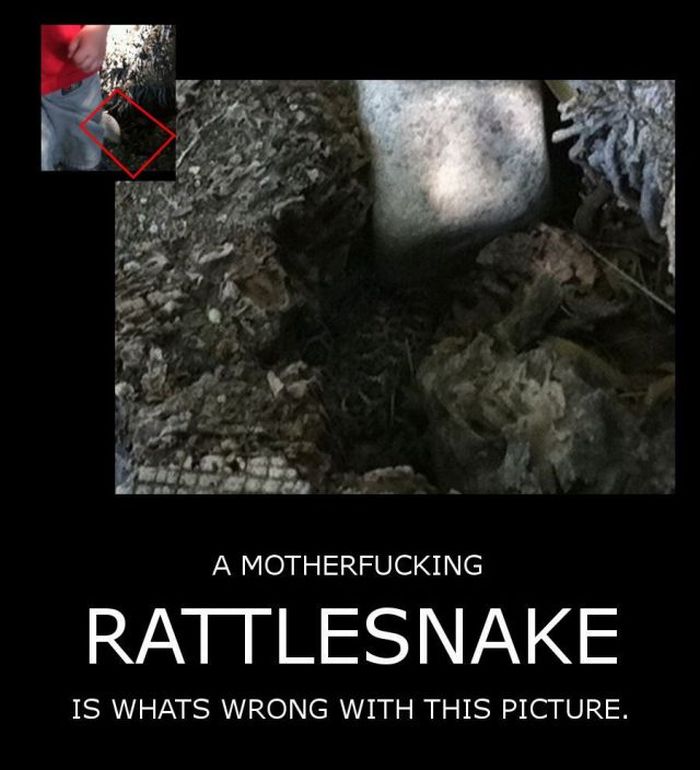 What's Wrong with This Picture (2 pics)