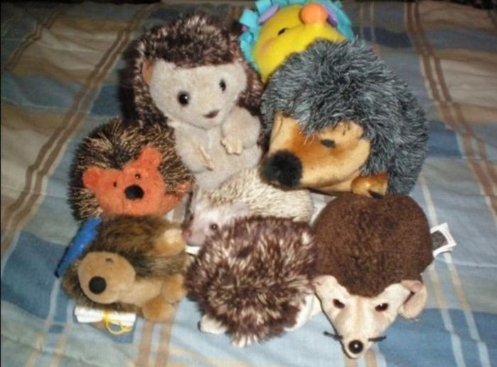 Animals with Stuffed Animals (93 pics)