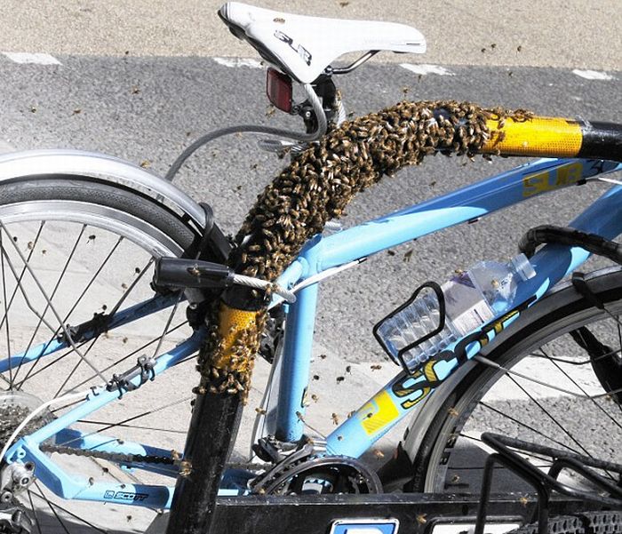 Extreme Way to Protect Your Bike from the thieves (5 pics)