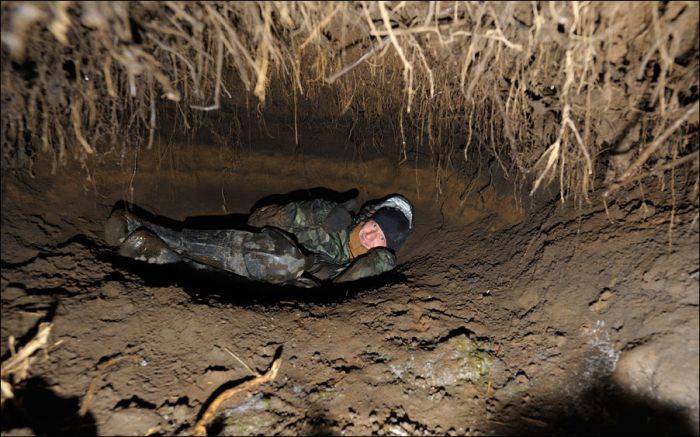 Inside a Bear's Den (3 pics)