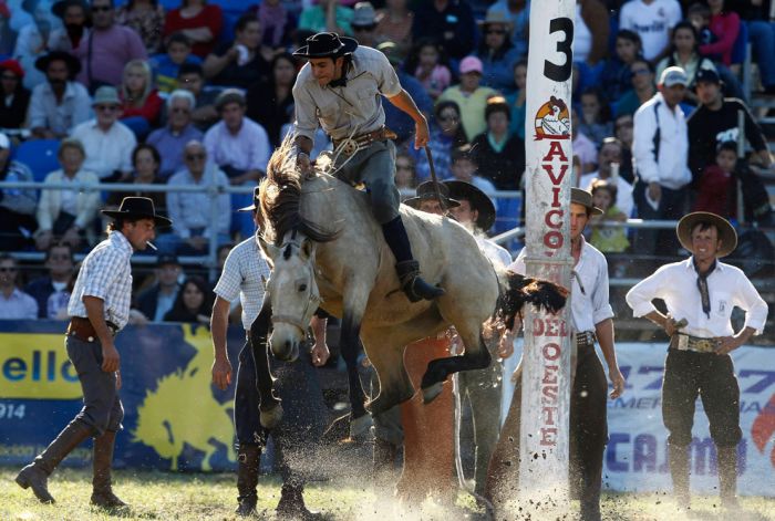 Gaucho, the Argentinian Cowboys (20 pics)