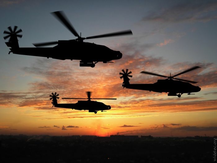 Helicopter Photos (99 pics)