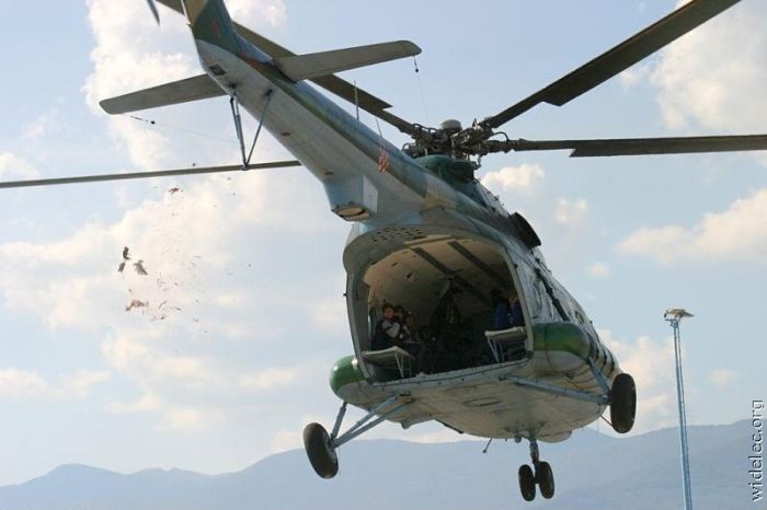 Helicopter Photos (99 pics)
