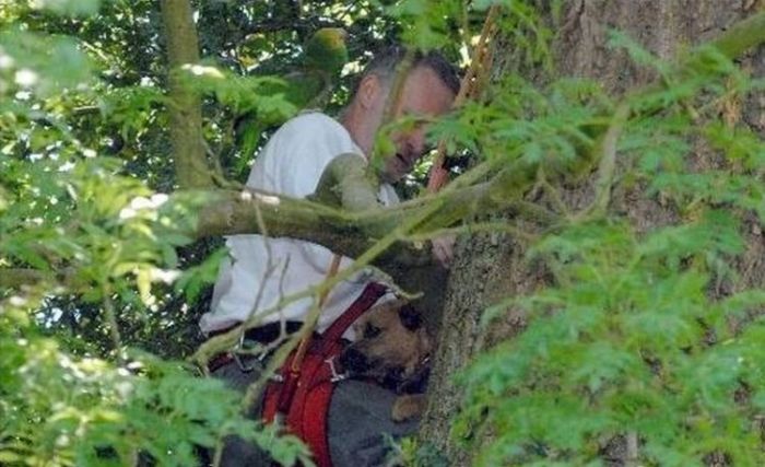 Rescuing a Dog (6 pics)