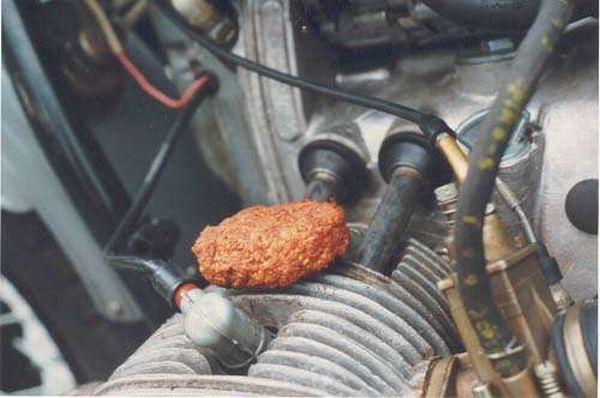 Barbecue Cars (19 pics)