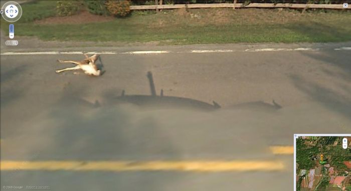 Google Street View Accidents (12 pics)