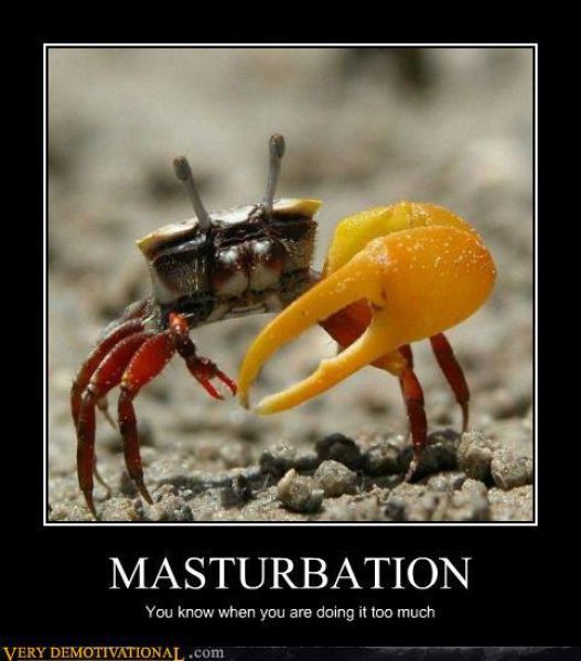 Funny Demotivational Posters (88 pics)