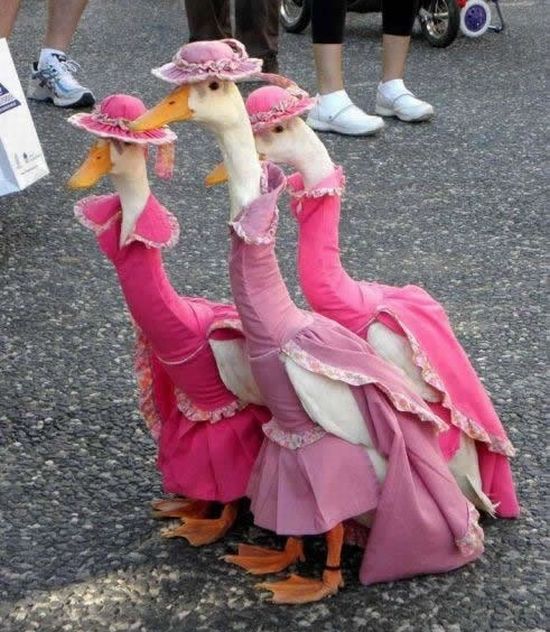 Acid Picdump (102 pics)