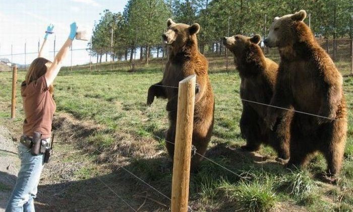 Acid Picdump (102 pics)