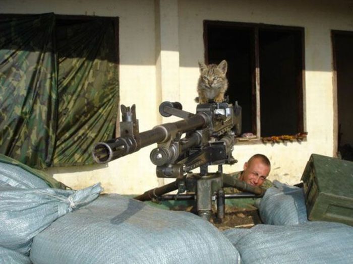 Acid Picdump (102 pics)