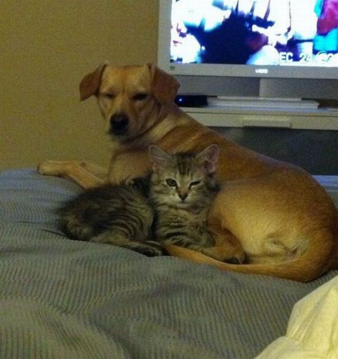 Acid Picdump (102 pics)