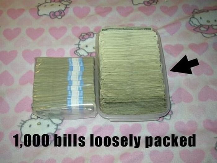 How Much is One Million US Dollars in Cash (13 pics)