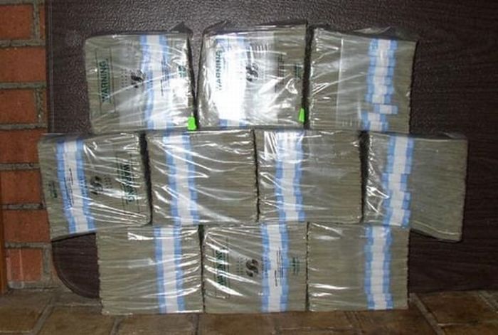 How Much is One Million US Dollars in Cash (13 pics)