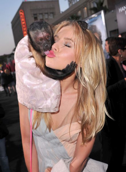 Monkey Kisses Kristen Bell (6 pics)
