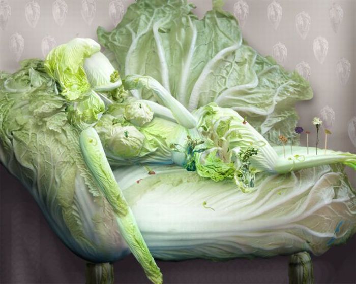 Cabbage Girls (16 pics)