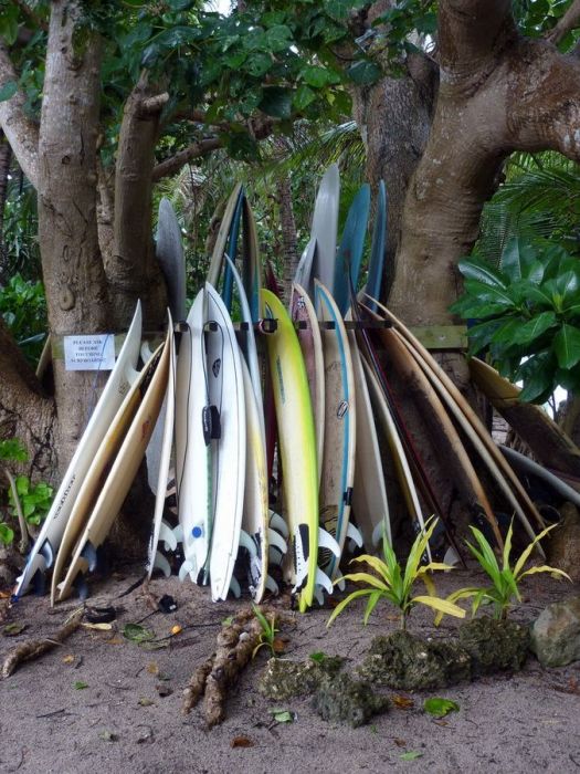 Surfing Photos (66 pics)