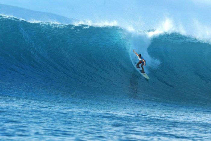 Surfing Photos (66 pics)