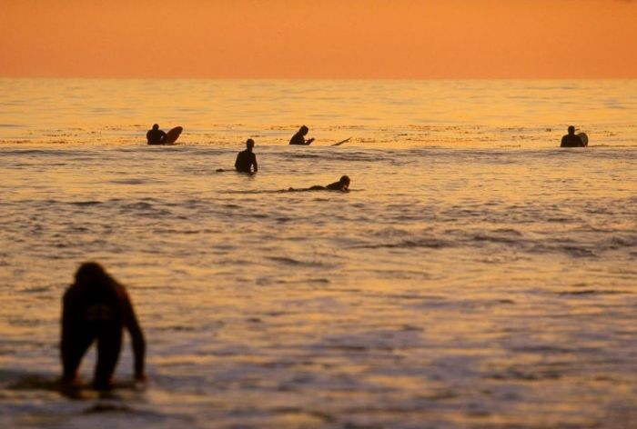 Surfing Photos (66 pics)