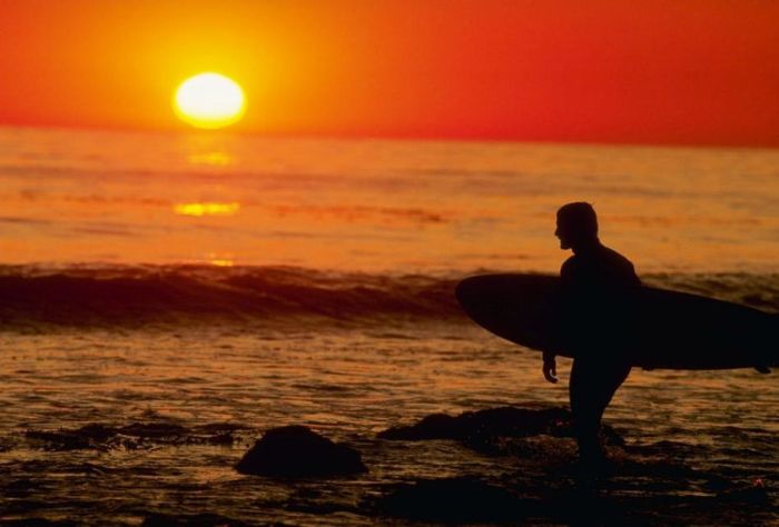 Surfing Photos (66 pics)