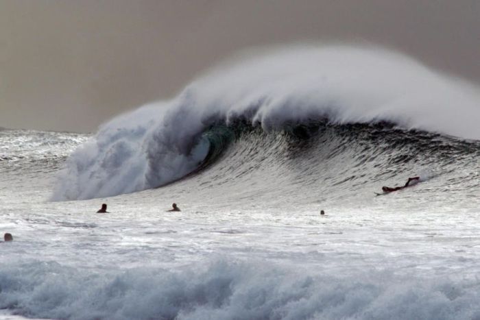 Surfing Photos (66 pics)