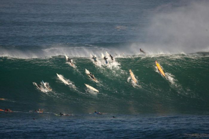 Surfing Photos (66 pics)
