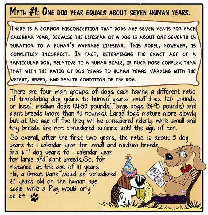 8 Animal Myths Dispelled (9 pics)