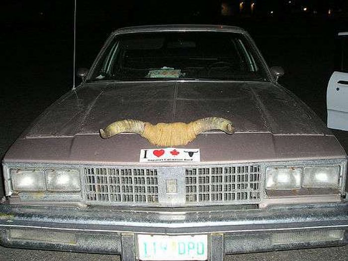 Cars with Horns (23 pics)