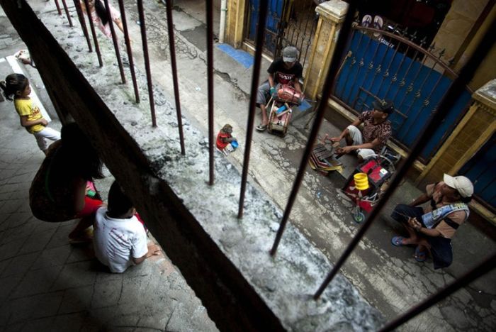 Performing Street Monkeys of Indonesia (16 pics)