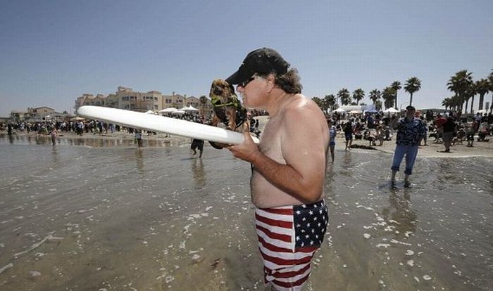 Surf Dog Championship 2011 (14 pics)