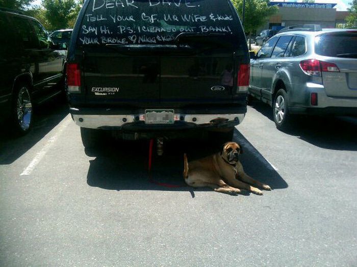 Dave is in Trouble (2 pics)