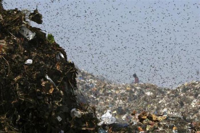 Garbage Pollution Around the World (25 pics)