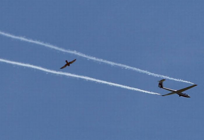 Amazing Air Show by the US Air Force (16 pics)