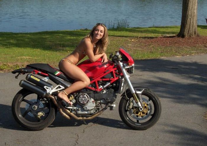 Ducati Girls (92 pics)