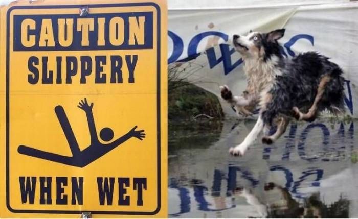 Weird Signs and Their Photo Explanations (14 pics)