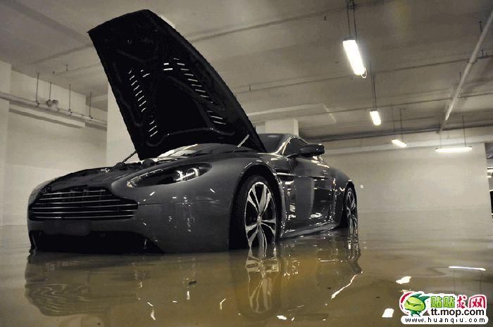 Sunken Supercars (8 pics)