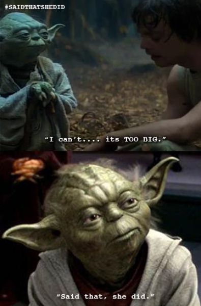 Yoda Tumblr “Said That She Did” (22 pics)
